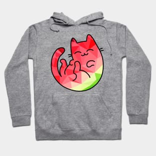 Happy Pink Cat Triangle Pattern Hoodie